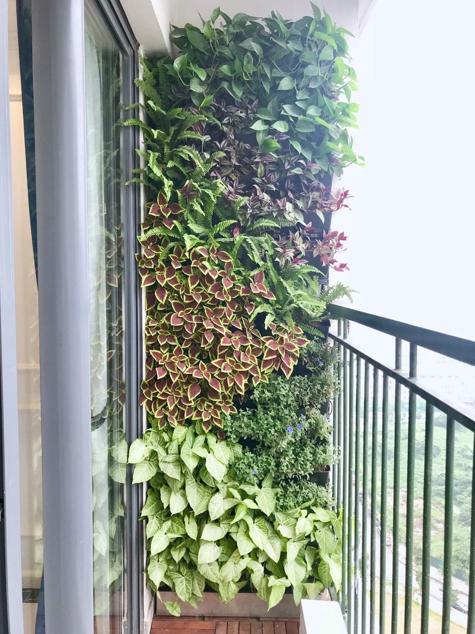 Ý tưởng vườn thẳng đứng đẹp