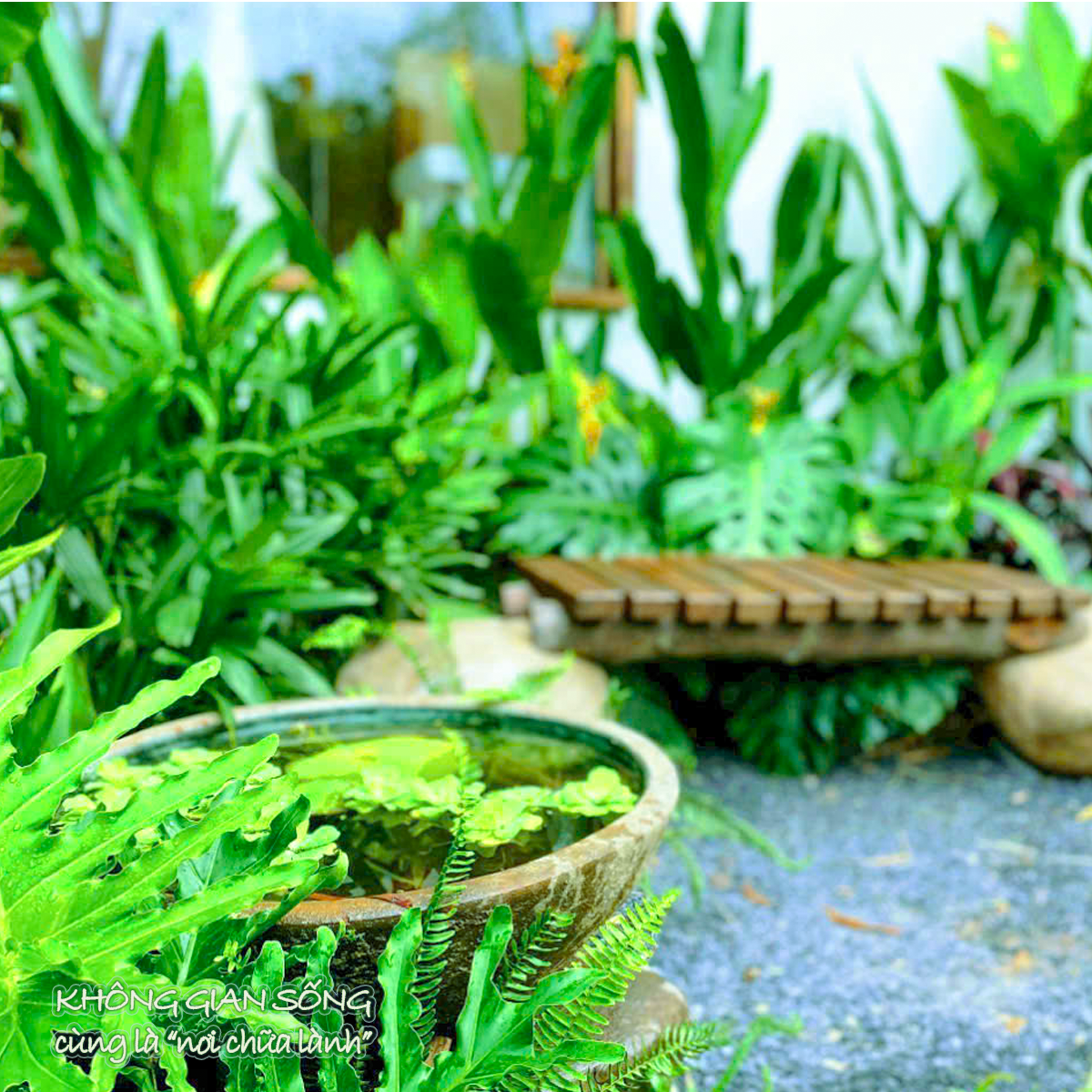 Tiểu cảnh sân vườn