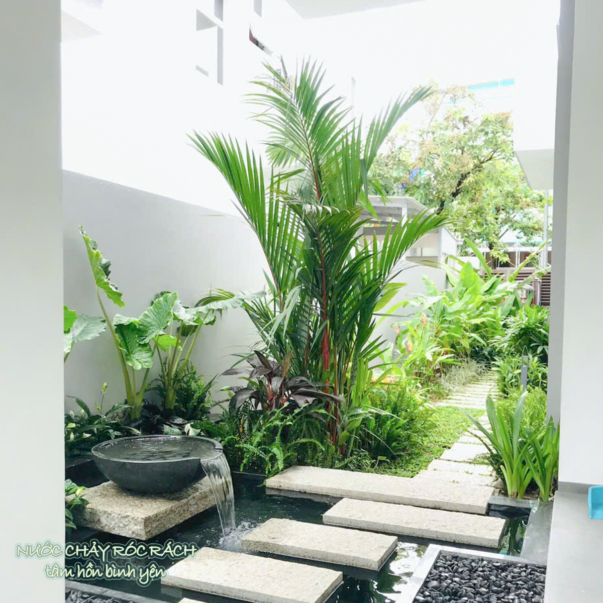 tiểu cảnh lối đi