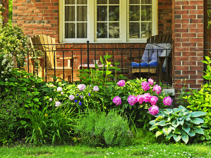 Sân vườn đón ánh sáng tự nhiên, không gian thoáng đãng, nhiều cây xanh, ghế đá thư giãn ngoài trời.