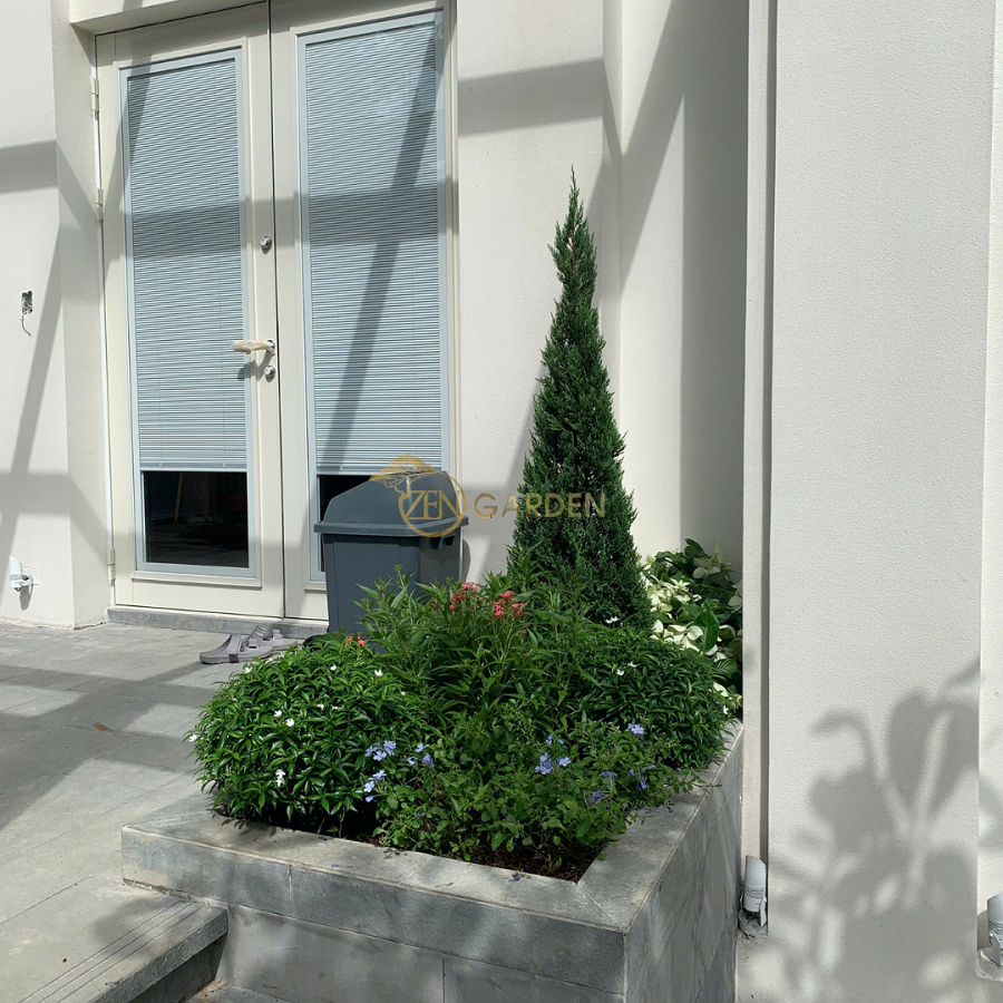 Bồn cây viền đá trồng hoa, giúp định hình tiểu cảnh sân vườn rõ nét