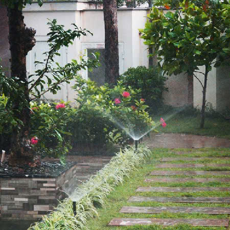 Thiết kế thi công cảnh quan sân vườn tại hồ chí minh