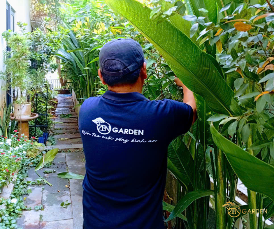 Thiết kế thi công sân vườn Zengarden