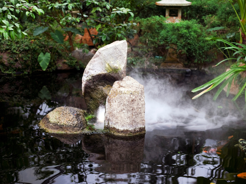 Cây xanh phong thủy hợp tuổi, hợp mệnh với gia chủ