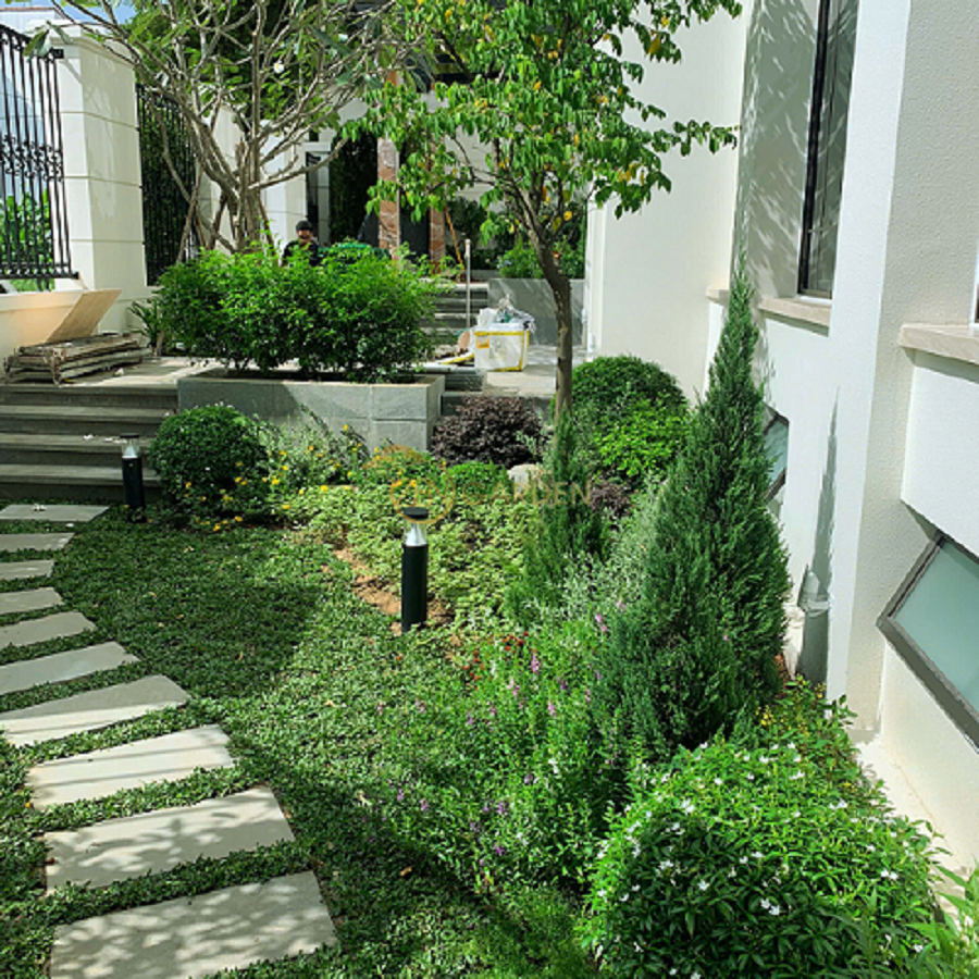 Không gian sân vườn biệt thự mang hơi thở cổ điển và hài hòa