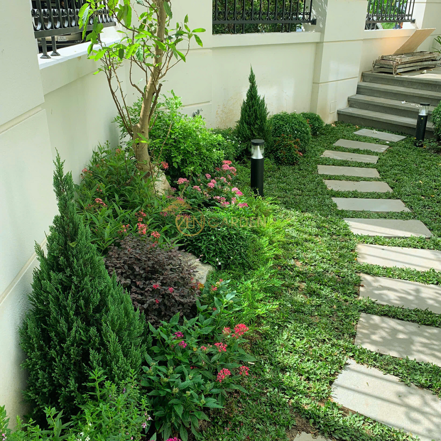 Lối đi lát đá xen cỏ mềm mại, đặc trưng trong sân vườn biệt thự phong cách châu Âu.