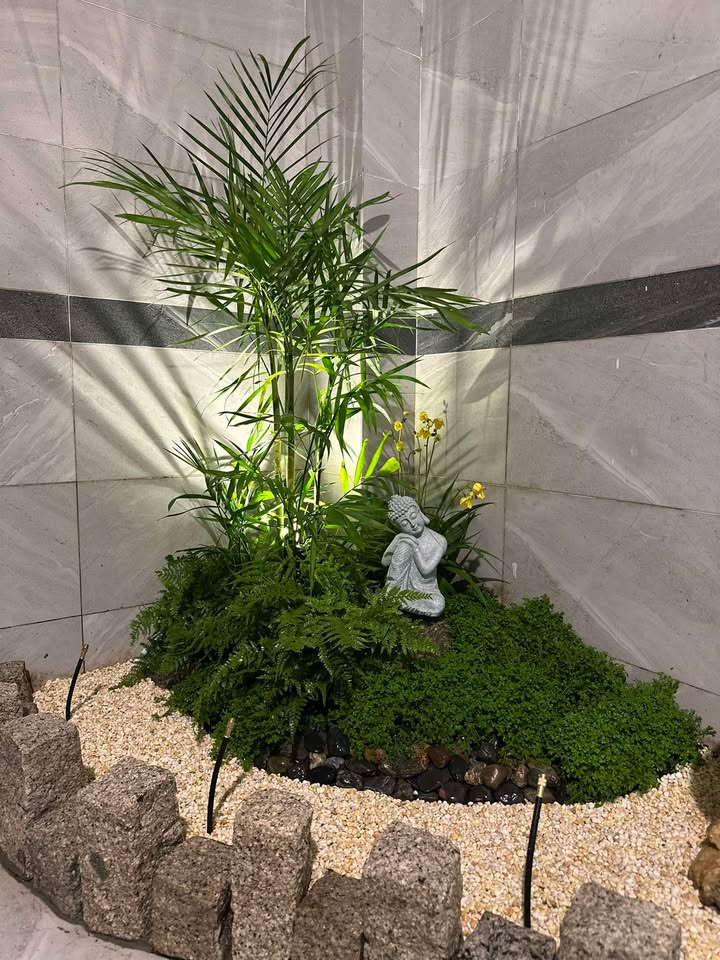 Tiểu cảnh nhật trong nhà yên bình