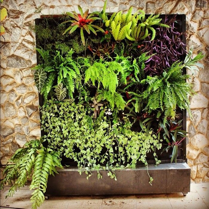 mẫu vườn treo ngoài trời