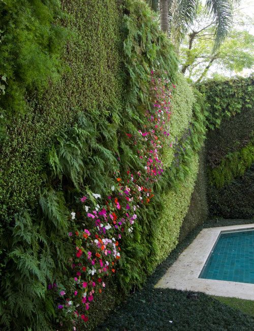 mẫu vườn treo ngoài trời