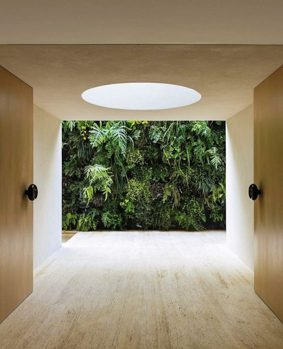 Mảng vườn cây xanh đẹp