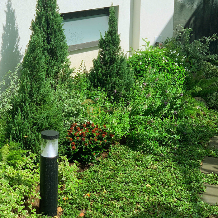 Thiết kế sân vườn bên hông biệt thự với bố cục cân đối và thoáng đãng