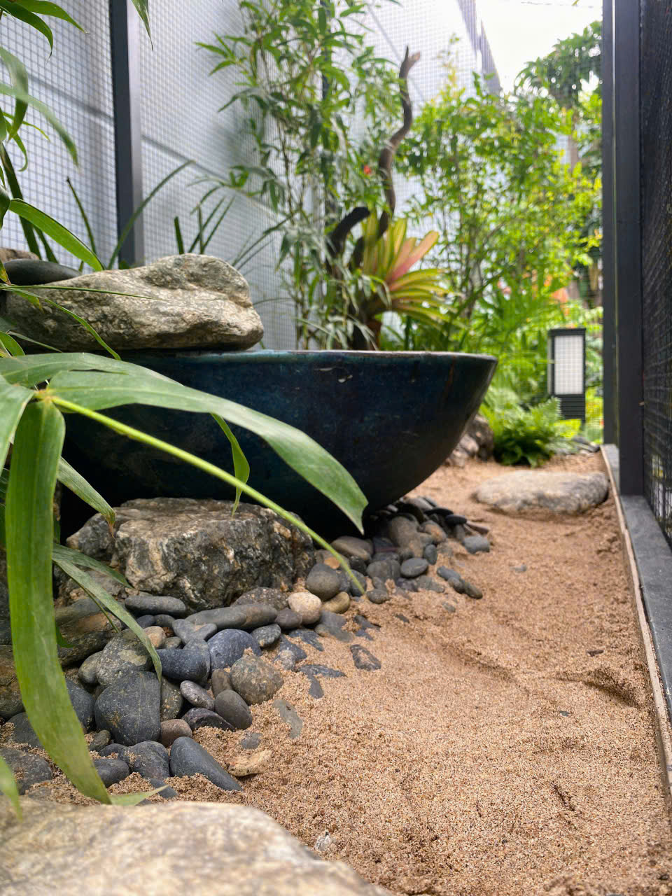 Tiểu cảnh xanh quanh hồ cá koi