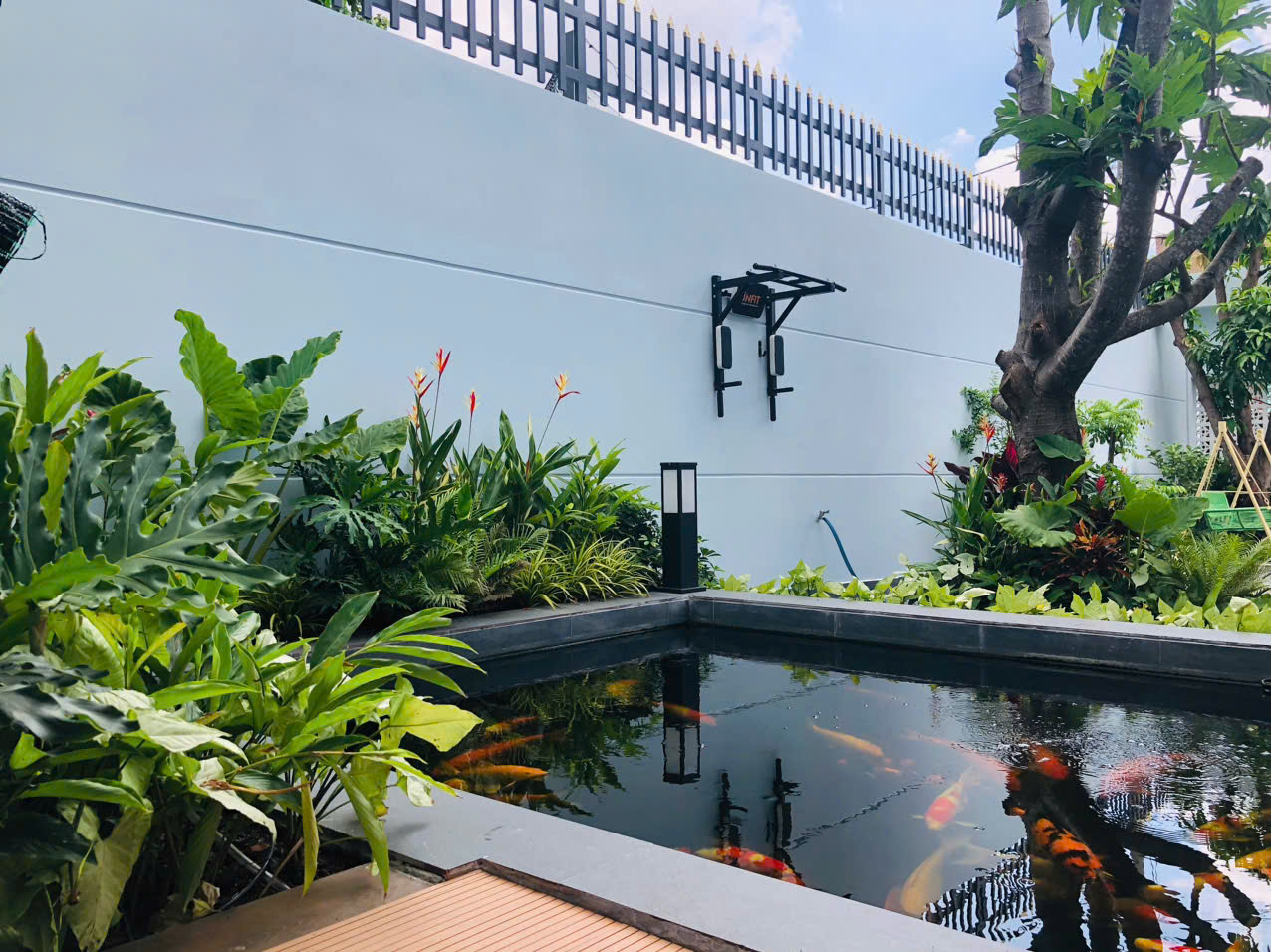 Qui trình thi công sân vườn hồ cá koi