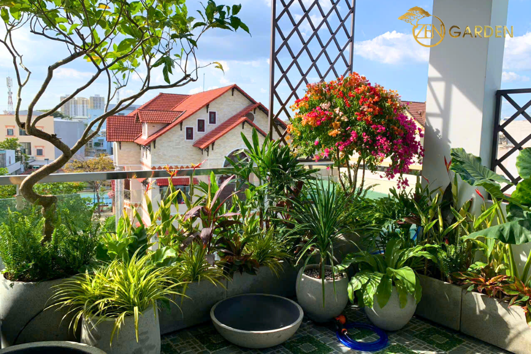 Mau-san-vuon-san-thuong-dep