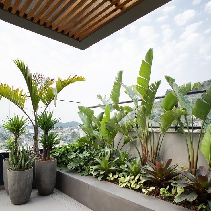 Tải trọng của sân thượng là gì