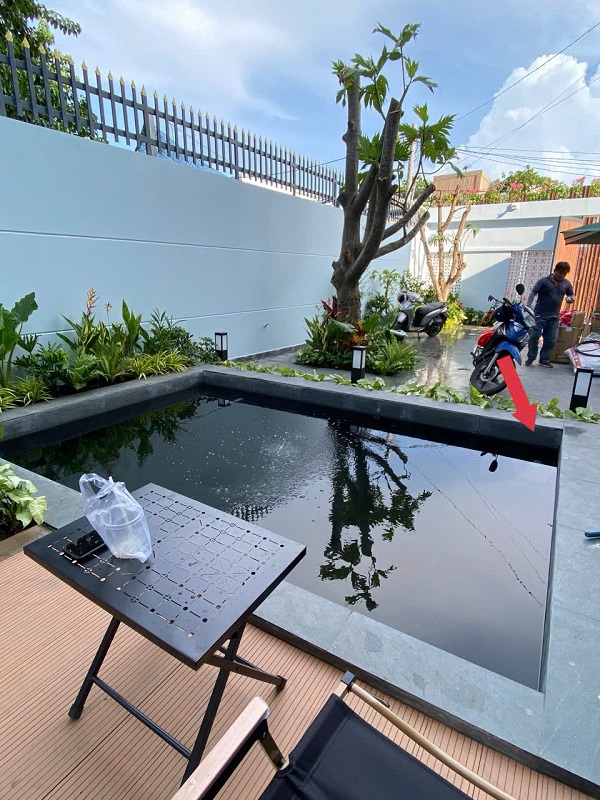 Thi công hồ cá Koi tại hồ chí minh