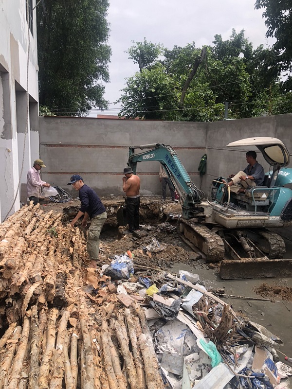 Thiết kế và thi công hồ cá Koi