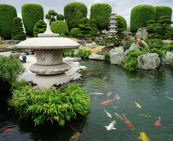 Thiết kế và thi công hồ cá Koi