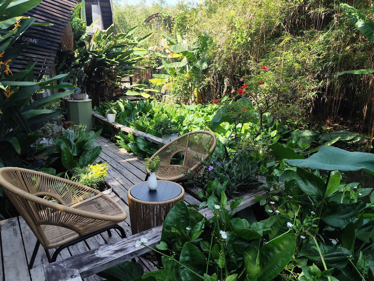Tiểu cảnh tropical sân thượng tạo cảm giác nghỉ dưỡng ngay tại nhà. san-vuon-san-thuong-ket-hop-khu-thu-gian