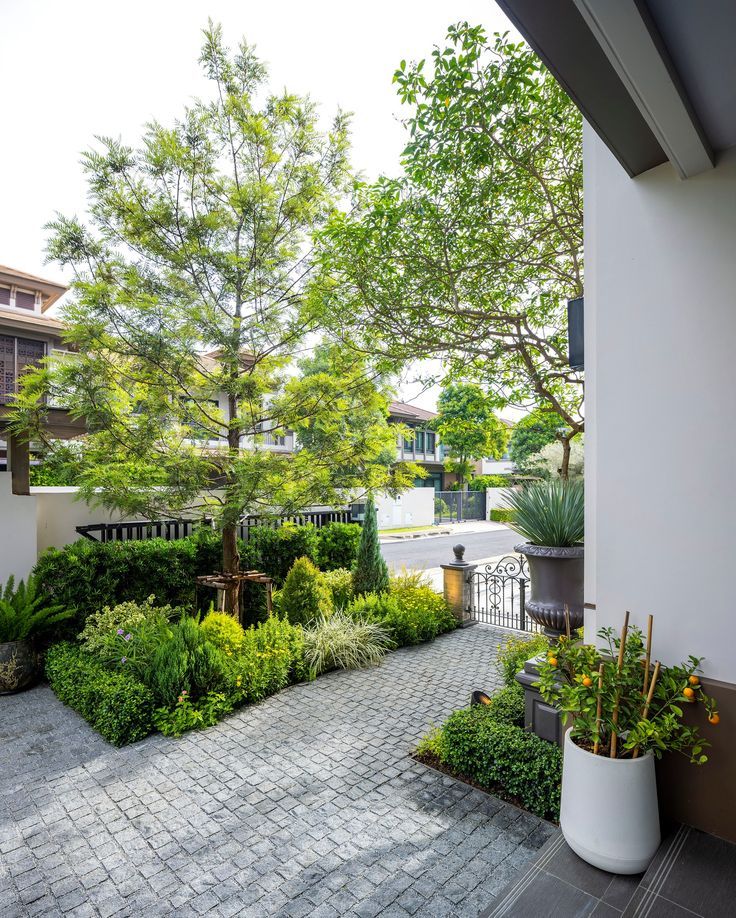 Tiểu cảnh sân vườn nhiệt đới trong nhà phố tạo không gian xanh